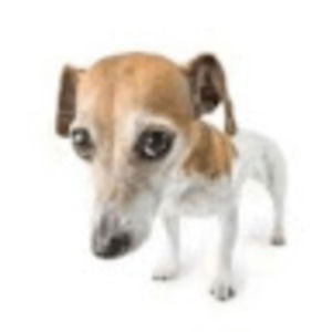 Meet your Posher, Madeline